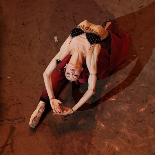 tumblr_lp32emIacP1qhf2mwo1_500