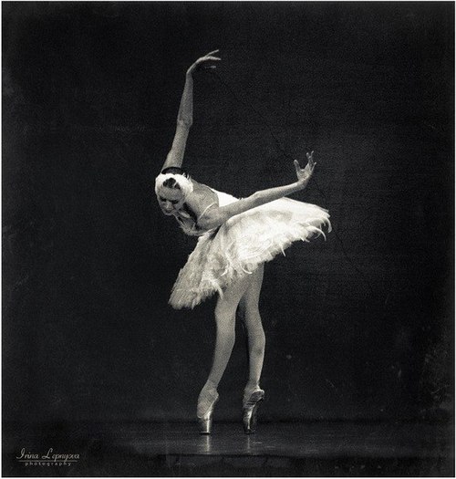 tumblr_mgewucjAAY1rrs01ko1_500